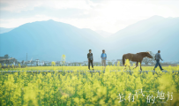 文化视点｜“影视+旅游”消耗热再起，谁能乘风共舞
