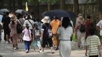 暑期游热度飙升！旅游市场消耗潜力持续开释，板块或迎全面反弹
