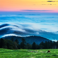 三条旅游线路，十个网红打卡地！去白山，这篇攻略富足了→
