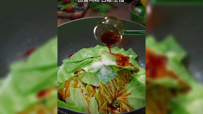 #美食分享