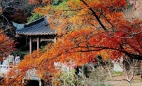 秋季去哪玩？盘点十大热门旅游景区以及必买的特产