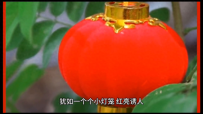 #美食分享