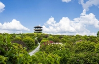 国家AAA级旅游景区，惠州+1！