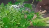 #美食分享