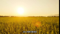 “好吃不外饺子，舒服不外倒着”#美食分享