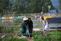乡村旅游如何“人旺财也旺”