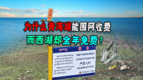 都是把湖当作旅游景点，西湖整年免费！为什么青海湖却围湖收费！