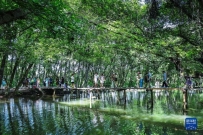 夏日古村旅游热