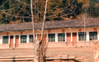 乡土散文：我和我的乡村西席