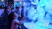 旅游市场复苏提速｜2023产业高质量发展半年报