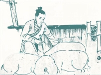 聊斋故事：夺舍