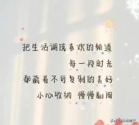 励志语录 能让你从低谷里走出来的，不是时间，而是你自己