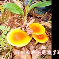 #美食分享