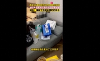 旅游3天离不开美团，我明确了为何这么多大厂，盯上本地生活！