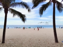 中国最著名的旅游都会之一，就在海南省，不停都吸引着大量游客