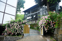 “吃住行购娱”全面升级 四川朝天以“最佳姿态”迎旅游旺季