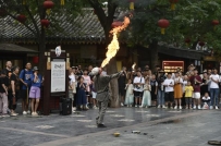 暑期旅游高峰已至，哪些目的地与旅游项目更受游客青睐？来看市场数据