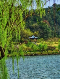 去宁波旅游后，后劲太大了，说说我2天的真实感受