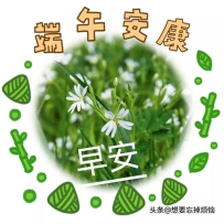 2023最新端午节早上好图片：祝你身体安康，端午合家欢！